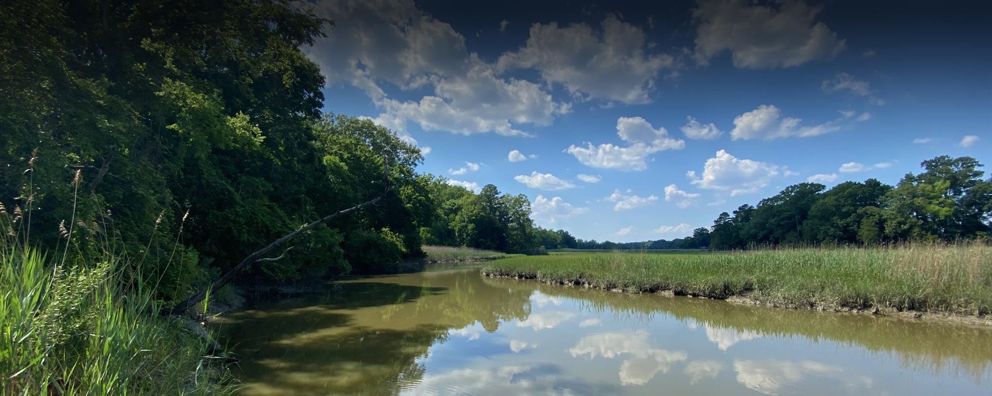 Cedar Creek